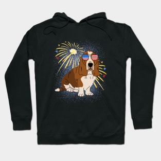 Cool Dog USA flag Patriotic 4th July independence day coolest shirt for july forth Hoodie